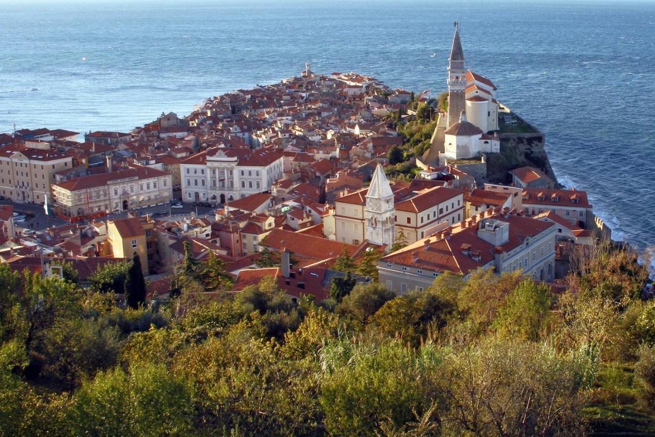 Sea View Istrian Countryside Apartment - Rota Dragonja Екстериор снимка