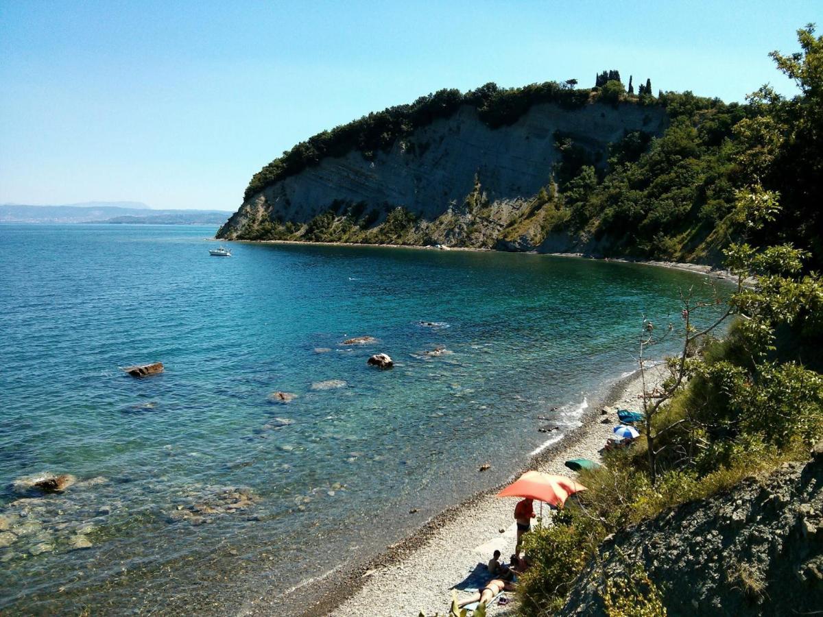Sea View Istrian Countryside Apartment - Rota Dragonja Екстериор снимка